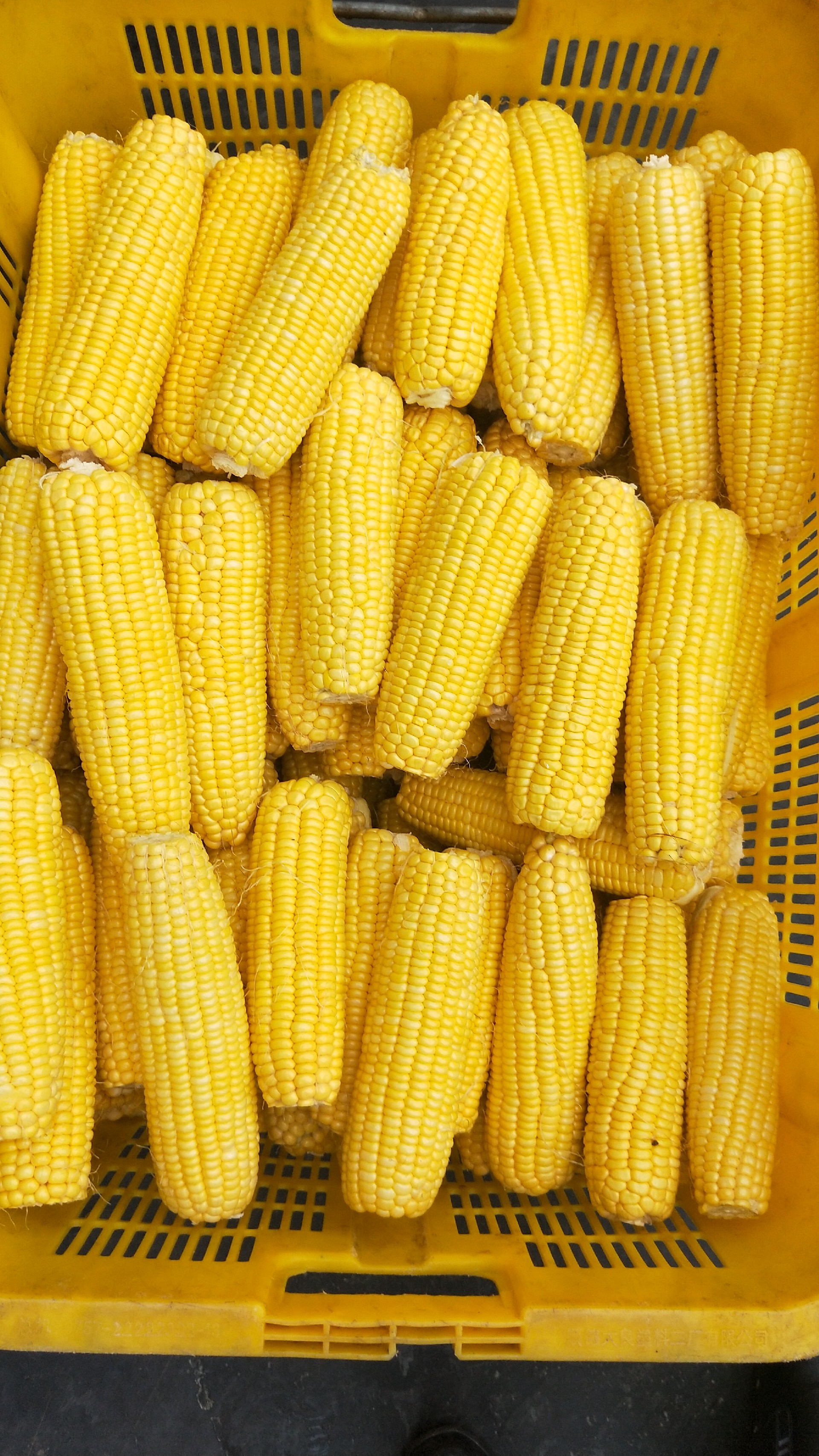 1594948815142862.jpg 微信圖片_20191227110739.jpg