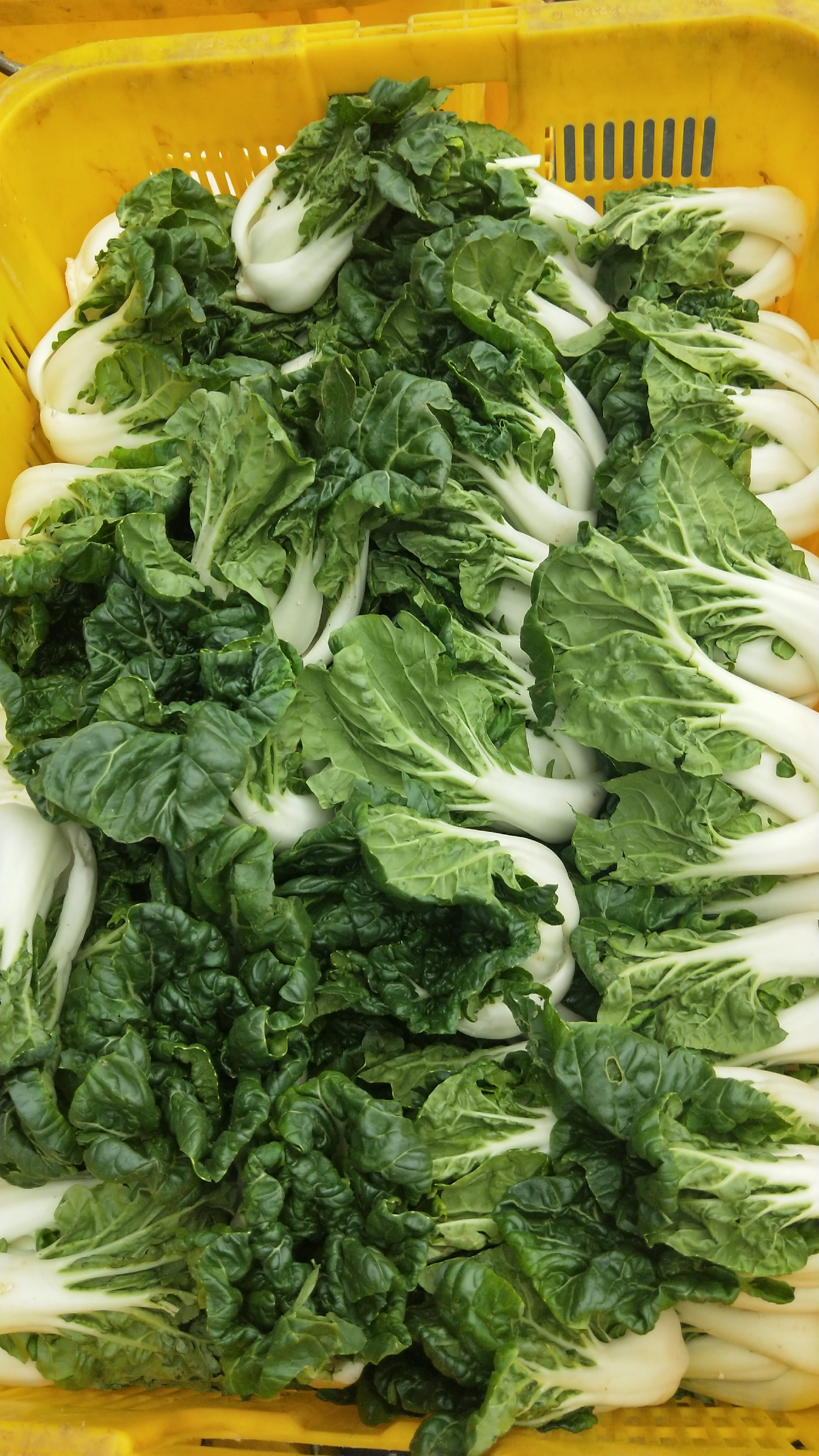 1595296101145943.jpg 微信圖片_20191227110825.jpg