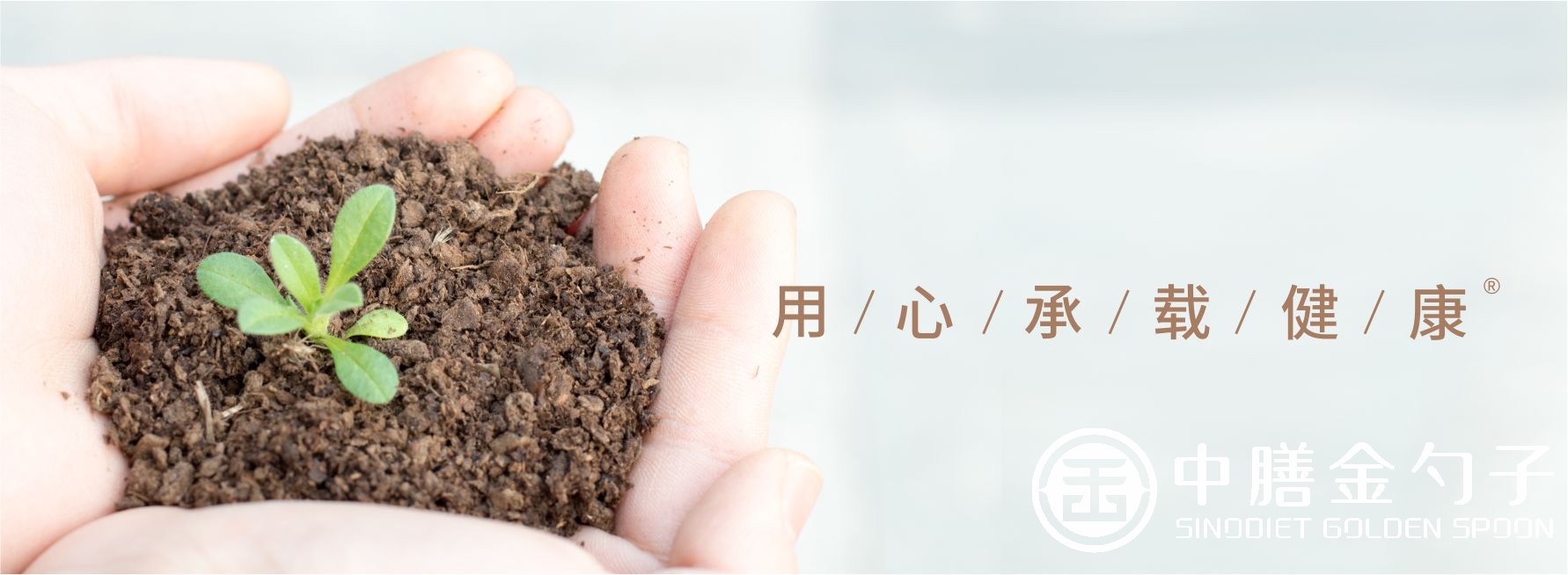 1612248971589812.jpg 1612248971589812.jpg