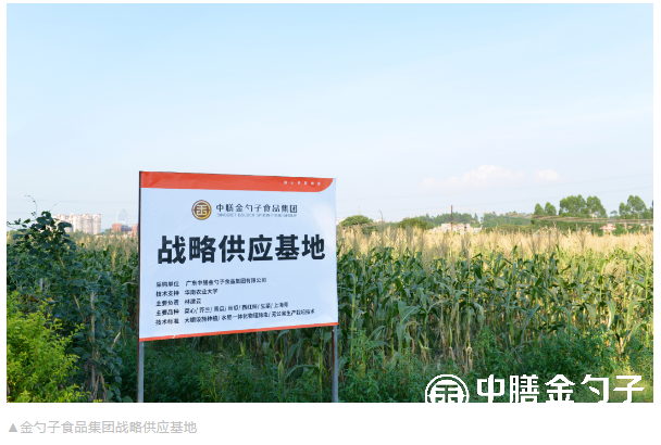 1669186067377868.png 10.png